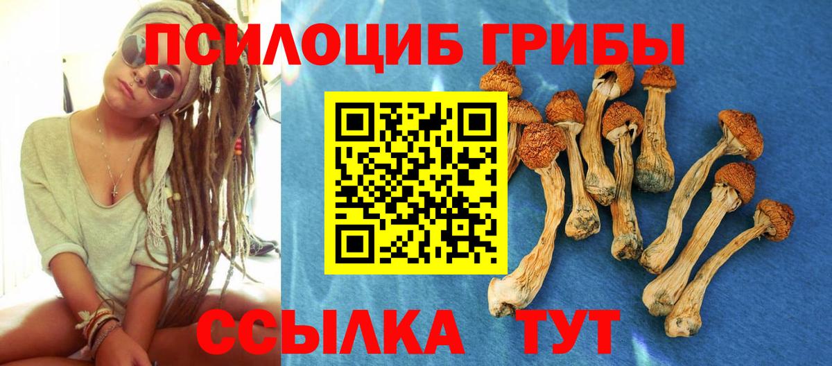 Псилоцибиновые грибы мицелий  Псилоцибиновые грибы Psilocybine cubensis  Вход с VPN  Великий Устюг 